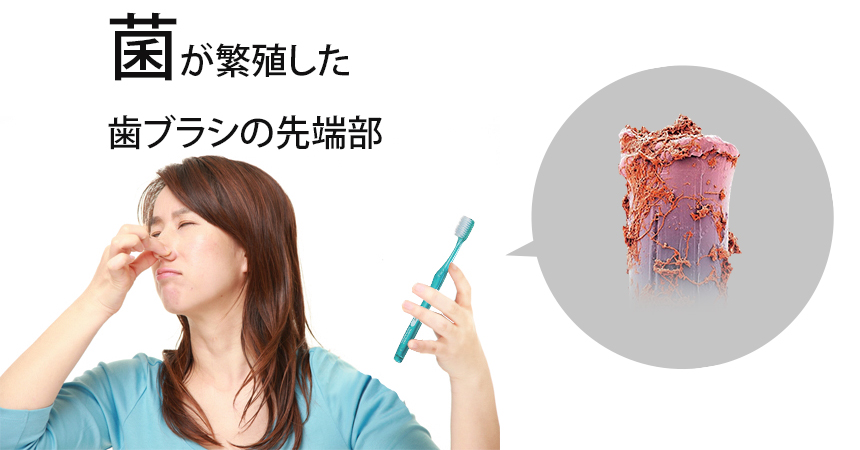 充電式歯ブラシ除菌キャップ