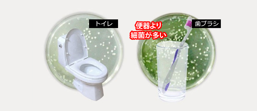 充電式歯ブラシ除菌キャップ